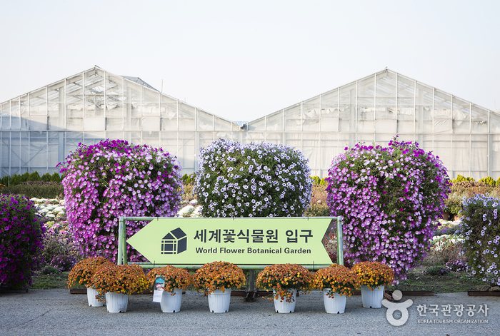 세계꽃식물원 입구 — 꽃 화분과 유리온실, 안내판